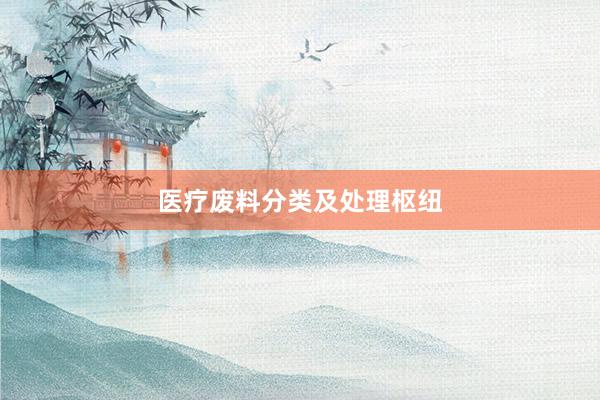 医疗废料分类及处理枢纽