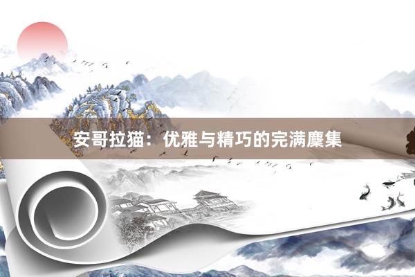 安哥拉猫：优雅与精巧的完满麇集