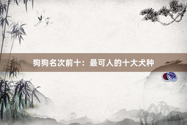 狗狗名次前十：最可人的十大犬种