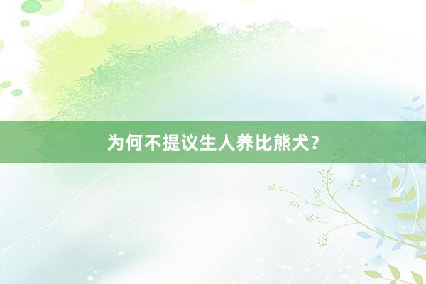 为何不提议生人养比熊犬？