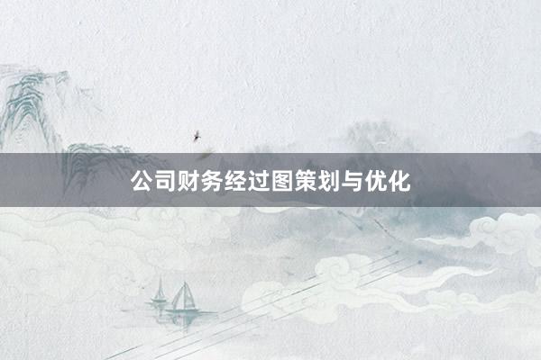 公司财务经过图策划与优化