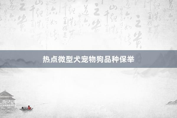 热点微型犬宠物狗品种保举